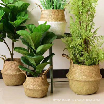 Household decor handmade seagrass belly basket / durable woven seagrass flower pot basket